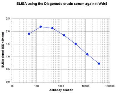 ELISA: WDR5 Antibody [NBP3-18672] - Figure 1. Determination of the titer To determine the titer, an ELISA was performed using a serial dilution of the antibody directed against mouse Wdr5 . By plotting the absorbance against the antibody dilution (Figure 1), the titer of the antibody was estimated to be 1:12,300.